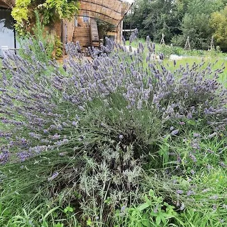 Nyaraló Dans Maison D'hote Dans Un Ecrin De Verdure *
